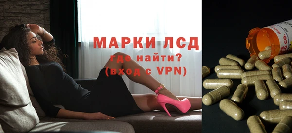 индика Арсеньев