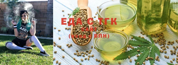 индика Арсеньев
