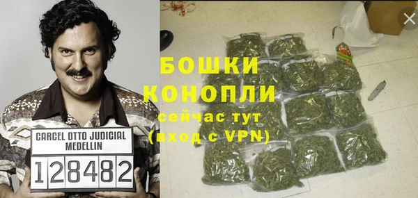 Альфа ПВП Аркадак