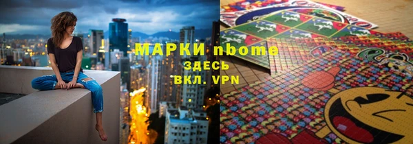 прущие грибы Алзамай