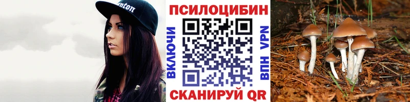 Псилоцибиновые грибы Psilocybine cubensis  Заполярный 